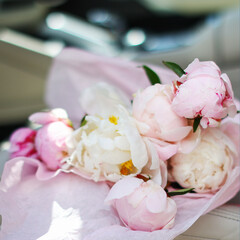 Bouquet of Pink Pionies closeup in the car