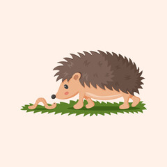 Little hedgehog and worm. Forest animal and insect. Wildlife or zoo adorable creatures. Baby animal nursery decor or childish print. Porcupine character vector cartoon flat isolated illustration