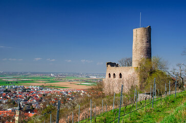Fototapete bei efototapeten.de bestellen   