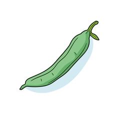 Vector of a single green pea on a plain white background
