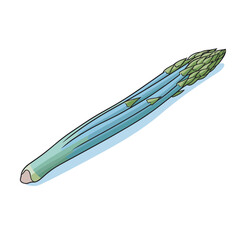 Obraz na płótnie Canvas Vector of a green pencil icon with flat design and green tips