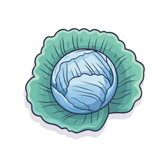 Vector of a flat icon of a cabbage on a white background