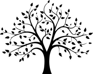silhouette plant tree images