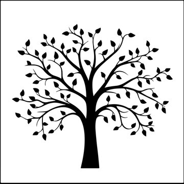 silhouette plant tree images