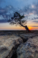 sunset on the beach