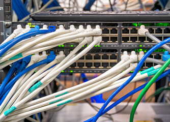 Ethernet cables connected to the network equipment - obrazy, fototapety, plakaty