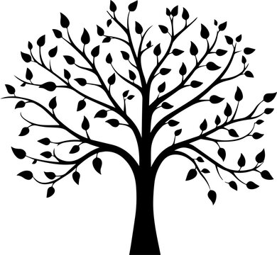 silhouette plant tree images