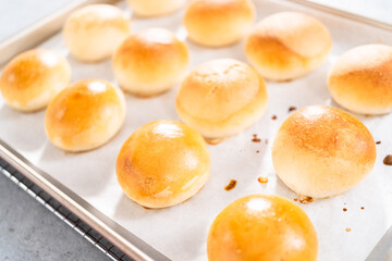 Dinner rolls
