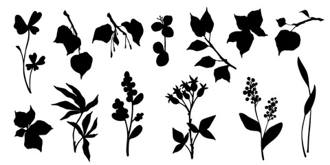 Set of botanical silhouettes of various branches with leaves, herbs,berries. Vector graphics.