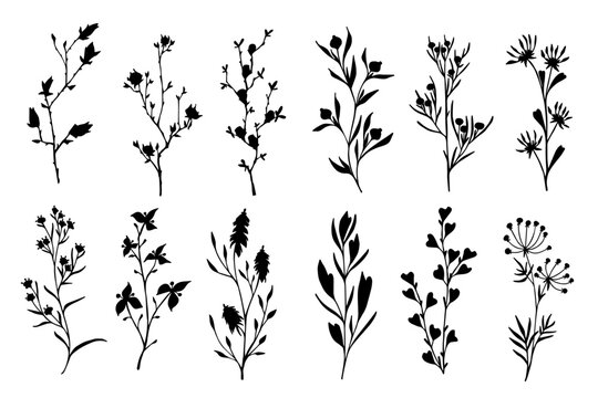 Set of botanical silhouettes of various branches with leaves, herbs,berries. Vector graphics.