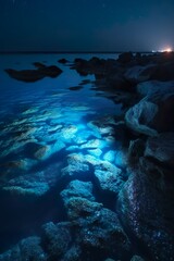 Glowing sea at night