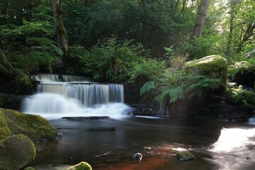 A stunning waterfall with a single light ray creating a dreamlike scene. Shot at Rivelin Valley nature trail on a morning walk in midsummer. 