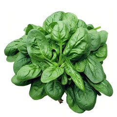 A bunch of spinach leaves on a white background. Generative AI.