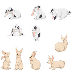 Cute rabbits in various poses. bunnies standing, sitting, running, jumping.