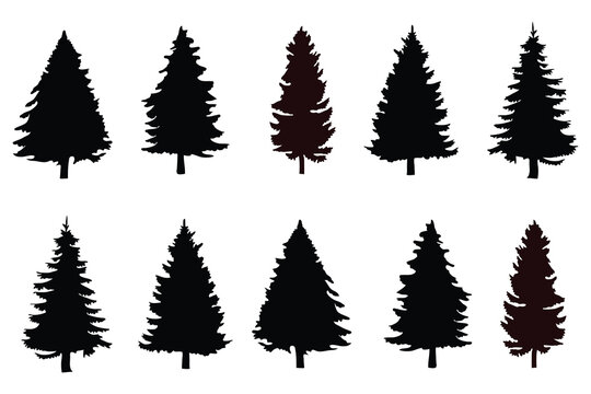 Collection of pine tree silhouettes.
