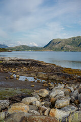 View of sea bay lake surrounded by mountains sunny day.