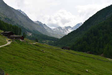 Fototapeta na wymiar Schöne Landschaft mit Bergen im Pfossental in Südtirol 