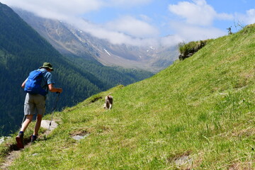 Fototapeta na wymiar Mann und sein Lagotto Romagnolo Hund wandern im Schnalstal in Südtirol 