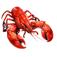 Lobster watercolor vector illustration,Sea food