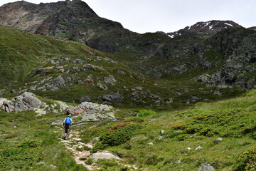 Mann wandert im Schnalstal in Südtirol 