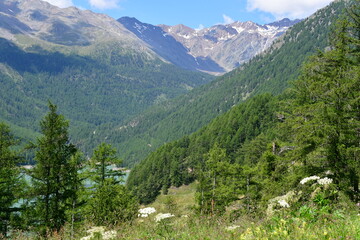 Fototapeta na wymiar Schöne Landschaft mit Bergen und dem Vernagter Stausee im Schnalstal in Südtirol 