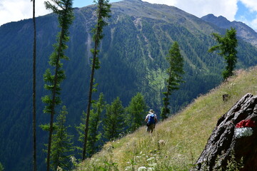 Mann wandert im Schnalstal in Südtirol 