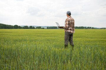 Farmer with laptop on field.  Wheat field concept, young harvest summer, technology farm, agricultural engineer.