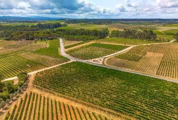 Aerial view from a drone over the landscape of Bairrada vineyards in Portugal

