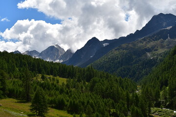 Fototapeta na wymiar Schöne Landschaft im Pfossental in Südtirol 
