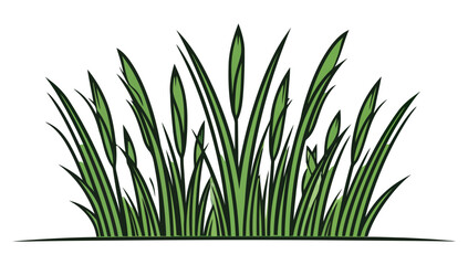 Green grass. Green grass silhouette isolated
