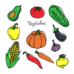 Set of vegetables drawn in cartoon style. Color vector elements on white background tomato, lettuce, pepper, onion, garlic, avocado, corn, pumpkin, turnip, eggplant and carrot.