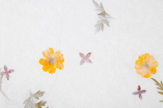 The Handmade recycled flower and leaf paper or Mulberry paper texture as background.