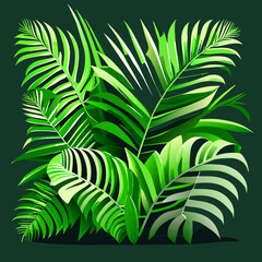 Tropical palm leaves on dark green background. Vector illustration.