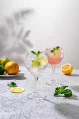 Gin tonic classic alcoholic cocktail drink with dry gin. Alcohol drink with lemon. Gin tonic cocktail with lemon.
