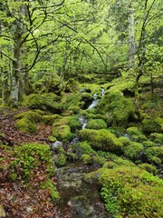  cascade et rivière dans les Hautes Pyrénées, Bagnères de Bigorre