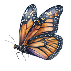Watercolor Monarch Butterfly, flying Butterflies graphic illustration isolated with a transparent background, insect design created with Generative AI.