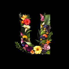 Letter U made of flowers and plants on black background. Flower font concept