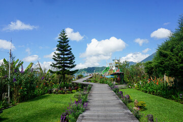 Beautiful view. Wooden path in the middle of the park