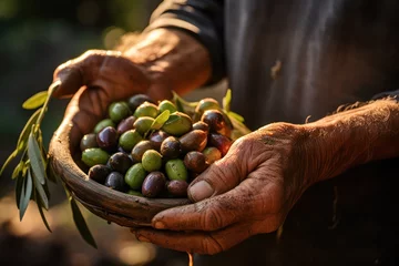 Deurstickers Ripe green olives in a worker hands closeup, Olive grove, harvest season © Rawf8