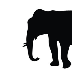 Elephant vector Silhouette, Elephant Head design for Poster, Wall, Home, Glass, Windows, Doors, vehicles. Elephant vector art.
