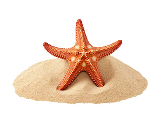 Starfish on sand isolated on transparent or white background, png
