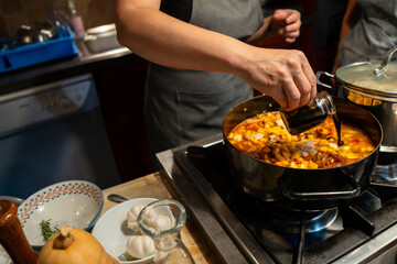 Woman cooking stew with wine on stove