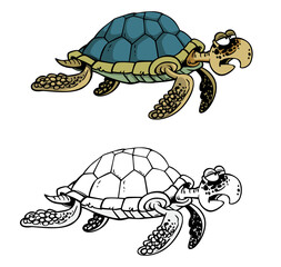 cartoon sea turtle outline and coloring on a transparent background