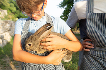Young child holding a brown bunny on a farm