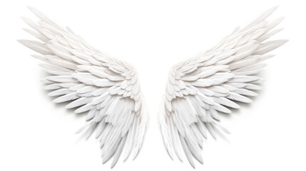 An angelic figure with wings stands on a clear white background.