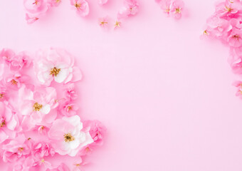 Beautiful pink pastel flower background with copy space