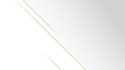 Abstract white background with gold line and copy space
