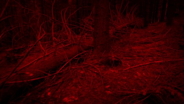 POV Evil Creature Moving About The Woods