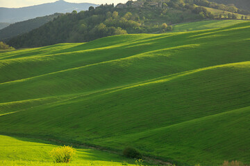 Fototapeta na wymiar Panorama in Val d'Orcia a Siena. Set drl film Il Gladiatore. Alba con Paesaggio della campagna in Toscana