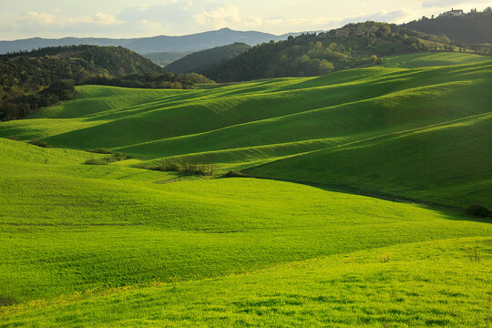 Panorama in Val d'Orcia a Siena. Set drl film Il Gladiatore. Alba con Paesaggio della campagna in Toscana